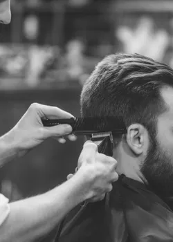 Signature Cuts